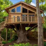 Conservative-Tree-House