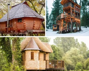 Conservative Tree House