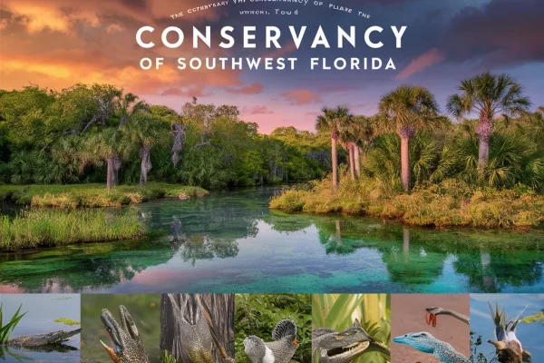 The-Conservancy-of-Southwest-Florida