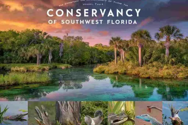 The-Conservancy-of-Southwest-Florida